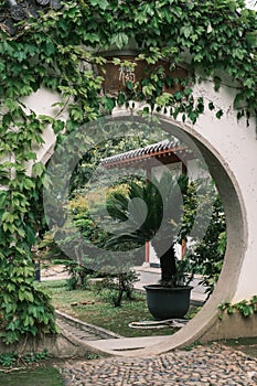 Early spring scenery of Moshan Rhododendron Garden in East Lake, Wuhan, Hubei, China