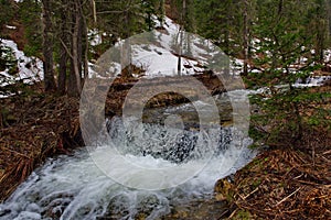 Early spring in the Siberian taiga