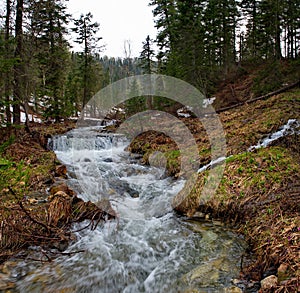 Early spring in the Siberian taiga