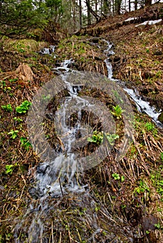 Early spring in the Siberian taiga