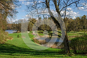 Early spring sunny day in park