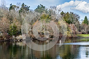 Early Spring Trees 7