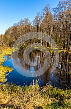 Próximamente primavera de un rio el valle humedales drenaje zanja sobre el carreteras más cercano en polonia 