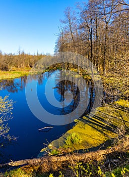 Early spring view of Biebrza river valley wetlands with drainage ditch at Carska Droga road near Wizna in Poland