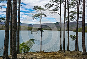 An Early Spring View of Carvin Cove Reservoir and Brushy Mountain