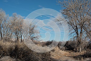 Early spring in a wildlife preserve in western Colorado