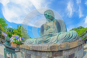 Early summer of the Great Buddha of Kamakura,which was wrapped in fresh green