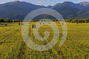Early summer morning field with round straw bales near the mountains.