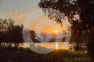 Early summer morning on a large lake surrounded by beautiful wide willows. Green grass covered with dew at sunrise. Beautiful