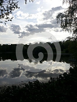 Early summer in Moscow near the Botanical garden near the lake