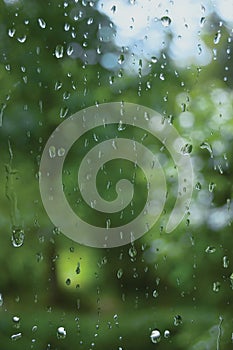 Early summer rainy day, rain drops on window glass, large detailed vertical macro closeup