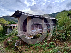 Early twentieth century elevated barns in Ourense Galicia Spain.