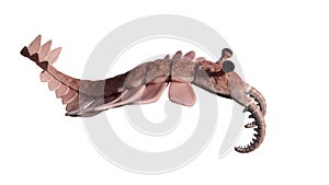 Anomalocaris, creature of the Cambrian explosion, isolated on white background 3d science illustration photo