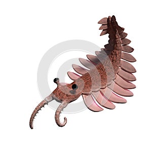 Anomalocaris, creature of the Cambrian period, isolated on white background 3d science illustration photo