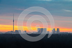 Early winter dawn over dark forest and city