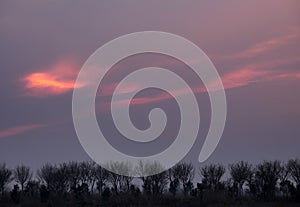 An early winter dusk scene in the suburbs. photo