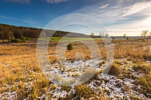 Early winter field landscape