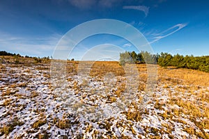 Early winter field landscape