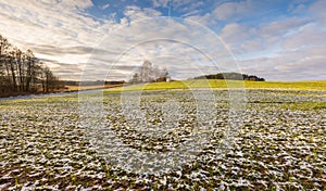 Early winter field landscape