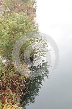 Early winter river and riverbank