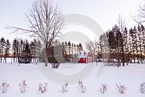 Early winter sunset view of small red barn in field with mixed trees covered in fresh snow