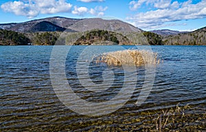 An Early Winter View of Carvins Cove Reservoir