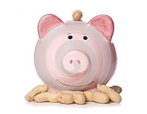 Earning peanuts piggy bank