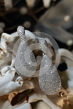 Earrings with diamonds. High luxe earrings with precious stones on dark natural background. White gold jewelry, diamond earrings