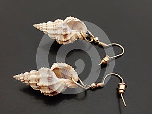 Earrings of natural shell on black background