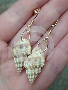 Earrings of natural shell at hand