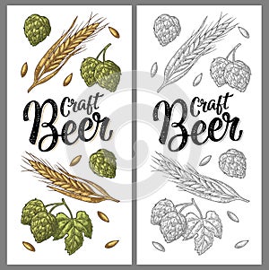 Ears of barley, leaves and cones of hops engraving. Craft Beer lettering.