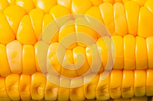 Ears of boiled appetizing corn/vegetarian concept. Close up. Ears of boiled appetizing corn. Healthy food