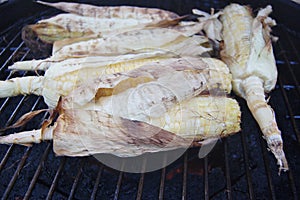 Ears of corn on the grill