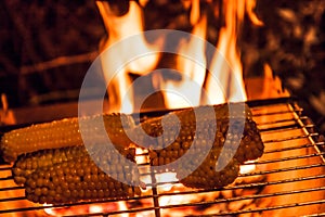 Ears of corn on a grill over high heat, night shooting.