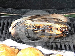 Ears of corn on the grill