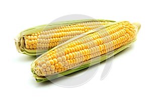 Ears of maize photo