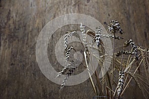 ears of oats against a wooden background