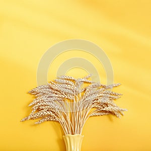 Ears of ripe wheat with shadows from light. Yellow colored vase with ripening ears close up