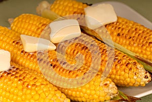 Ears of roasted corn