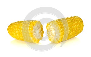 Ears of Sweet corn isolated on white background