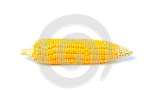 ears of Sweet corn isolated on white background