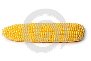 Ears of Sweet corn isolated on white background