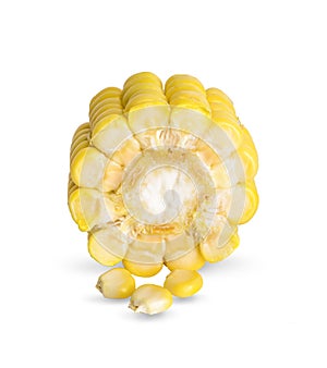 Ears of Sweet corn isolated on white background