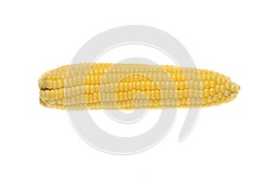 Ears of Sweet corn isolated on white background