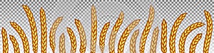 Ears of wheat or barley horizontal seamless border. Hand drawn vector illustration