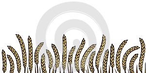 Ears of wheat or barley horizontal seamless border. Hand drawn vector illustration