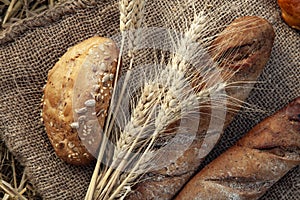 Ears of wheat and bread