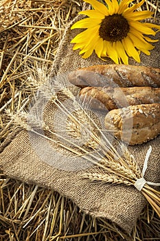 Ears of wheat and bread