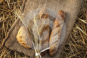 Ears of wheat and bread