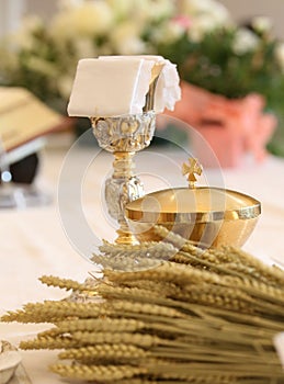 ears of wheat and the chalice during the mass